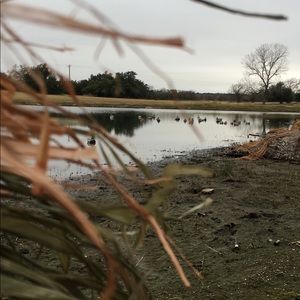 Meet your Posher, Rowdy